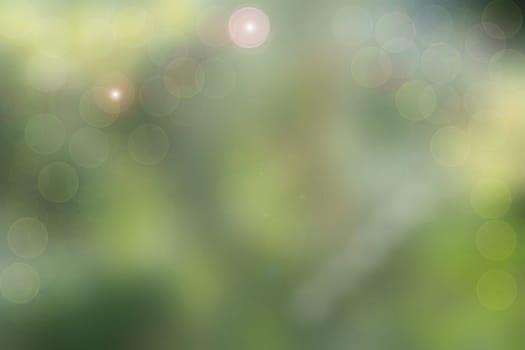 Abstract bokeh in a natural green background.