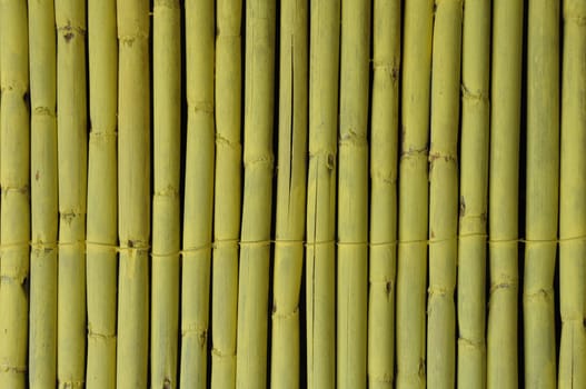 Bamboo branches decorative fence abstract wood background.