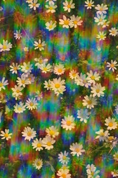 Daisy flowers on a sunny spring day. Abstract sunlight spectral reflections through vintage prism lens filter.