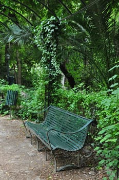 Green bench and lush vegetation at the national botanical garden public park in Athens, Greece.