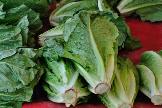Lettuce vegetables for sale at street market.