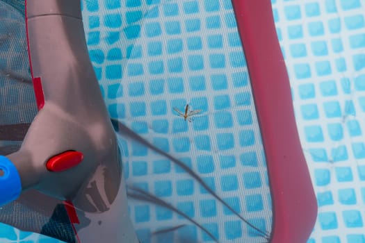 cleaning net in pool with plaid ground