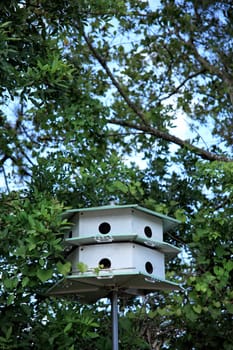 an image of bird house