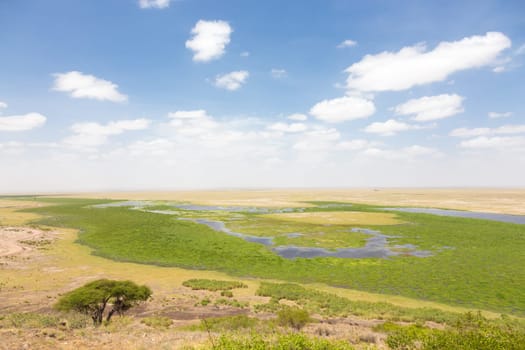 Panoramiv view of Amboseli national park, wildlife conservation area in Kenya, Africa.