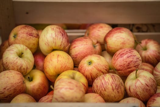 Fresh red and yellow apples for sale stored in retro grunge basket in the market