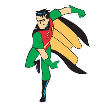 Robin superhero illustration cartoon character