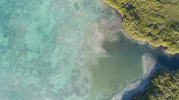 Bonaire island Caribbean sea coast lagoon