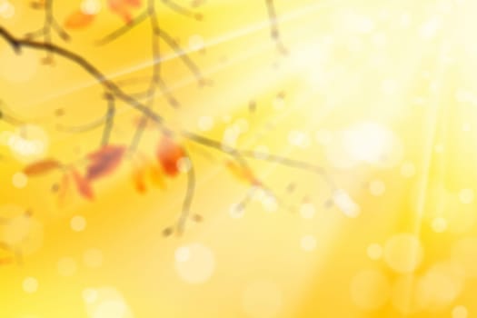 blurry background image of yellow autumn leaves over sunny sky