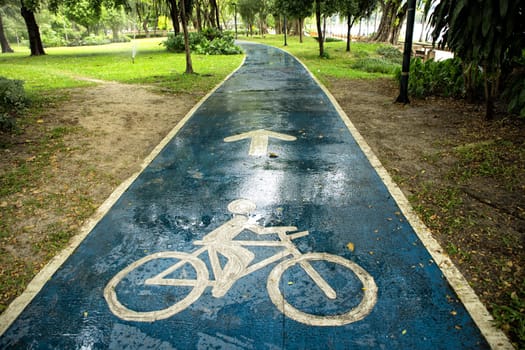 Close up bicycle sign on wet public park road