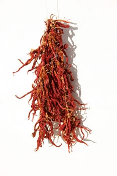close up shot of dried red peppers