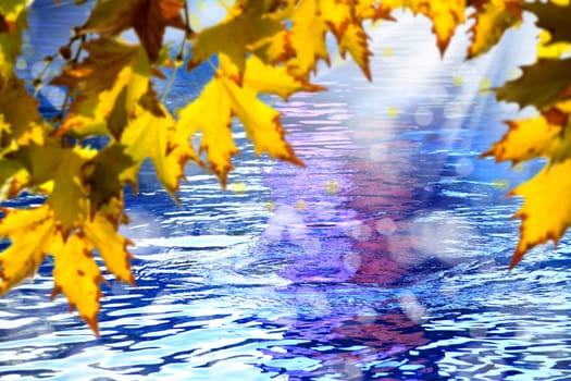close up shot of yellow autumn leaves over colorful lake