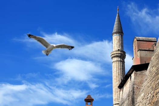 detail shot from Ayasofia mosque in Istanbul, Turkey.