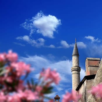 Detail shot from Aya Sofia Mosque in istanbul, Turkey