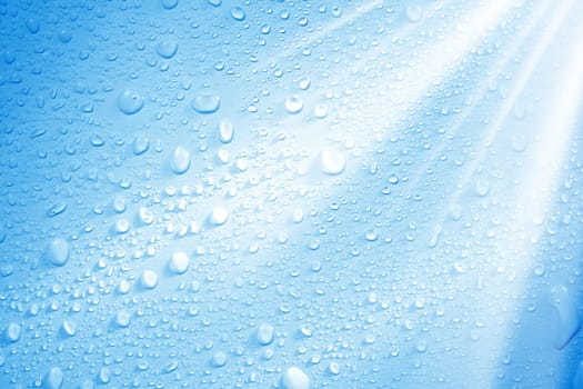 close up shot of rain drops and light.
