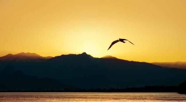 landscape image of high mountains and flying seagull over clear sunset sky in Antalya, Turkey