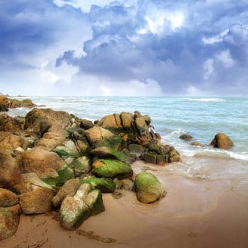 an image of a beautiful beach