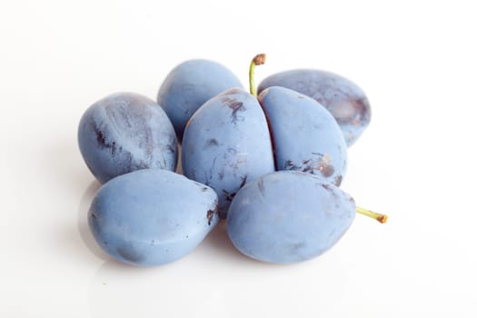 Untouched plum fruit with original color streight from tree