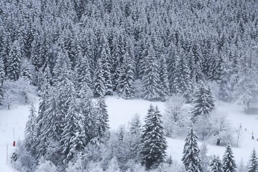 The Alpe d Huez ski domain in the French Alps
