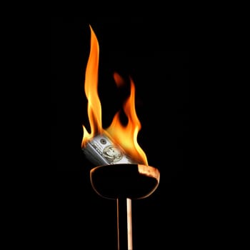 close up shot of money burning in flaming torch.