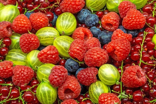 Berry mix,raspberry,blueberry,currant and gooseberry