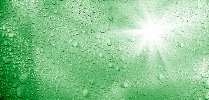 close up shot of rain drops and light.