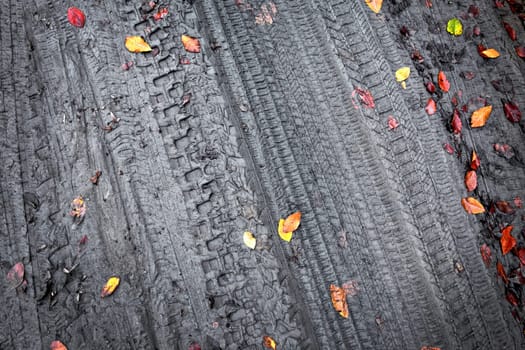elevated view of close up dirt road and autumn leaves.
