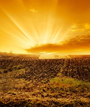 landscape image of cultivated field over sunset.