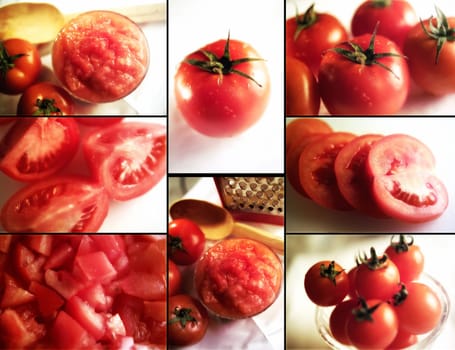 arrangement of various close up tomato images