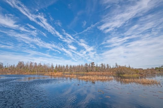 Sunny Skies over the Okefenokee Swamp in Georgia