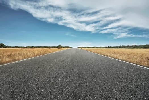 Empty road with savannah view at sunny day