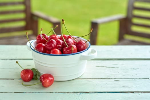 Dish of freshly harvested red sweet cherries on a rustic white garden table with green lawn and chairs in summer