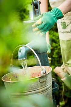 Gardener filling an old rustic metal bucket with water from a vintage hand pump outdoors in the garden viewed through greenery and leaves