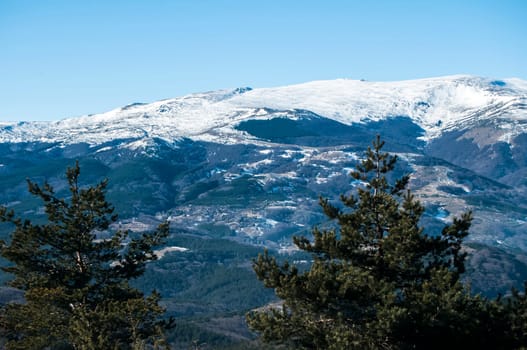 Winter panoramic landscape with trees, distant mountains and white mist in lowland
