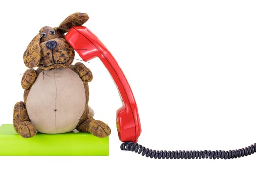 Red vintage telephone receiver with black cable isolated on white background. Funny dog is sitting on green book and taking a call. Suitable for contact exchange and call center. Template for your product display montage.