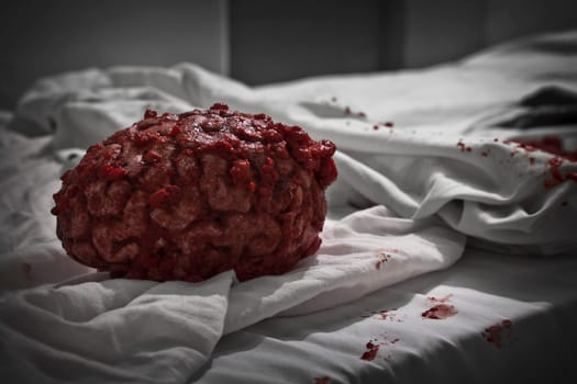 Human brain fresh out of a corpse during an autopsy