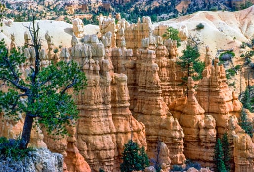 Bryce Canyon with limestone spires in Utah.