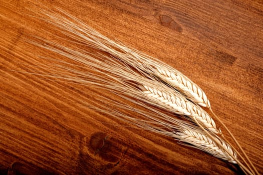 close up shot of wheat on table