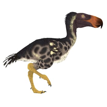 The Kelenken "Terror Bird"" of Argentina was a flightless carnivore that lived in the Miocene Period."