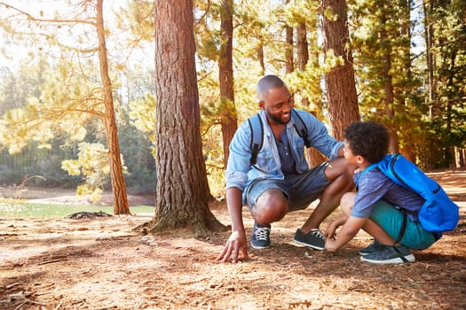 Father And Son On Hiking Adventure In Woods By Lake