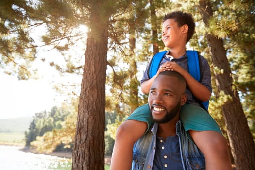 Father Walking In Woods Carrying Son On Shoulders