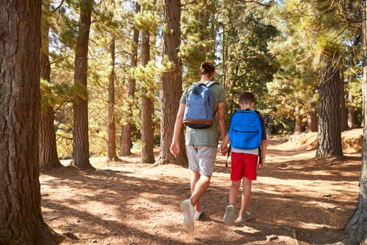 Rear View Of Father And Son On Hiking Adventure Through Forest