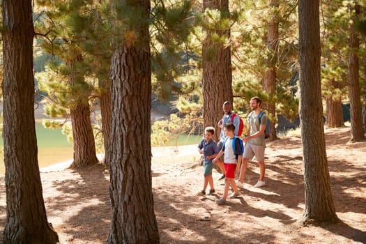 Boys With Fathers On Hiking Adventure Through Forest