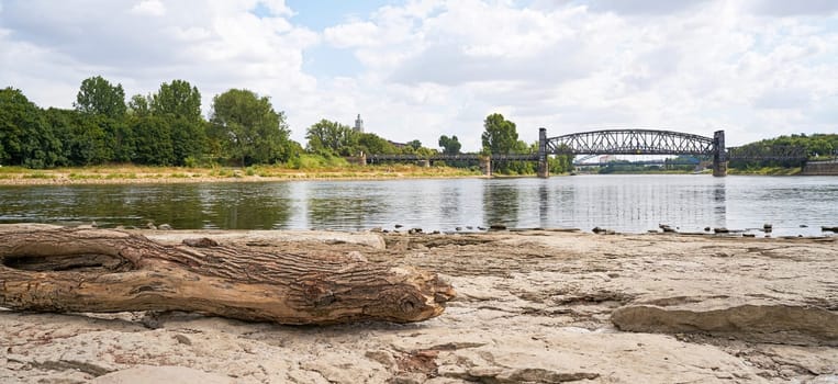 Tree trunk on the cathedral rock in Magdeburg. In the background the lifting bridge