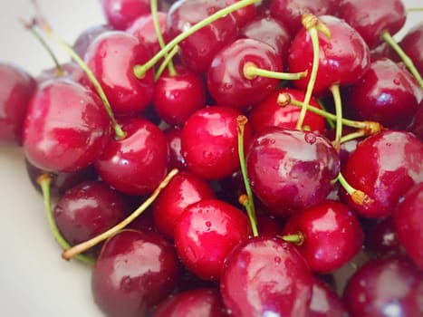 Fresh bunch of red cherries illuminated by sunlight