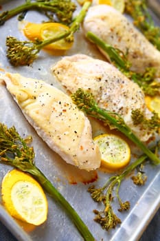 Chicken breasts with broccolini and yellow squash in natural light