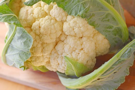 Closeup of fresh produce from farmers market