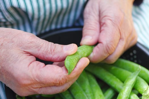 A man holding a fresh green peapod