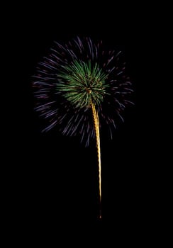 Colorful fireworks on night sky background