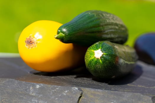 Closeup of a fresh yellow and two green courgette on black slate with natural colorful background. Outdoor. Concept health.