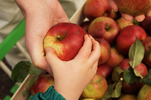 Mother gives her child an apple